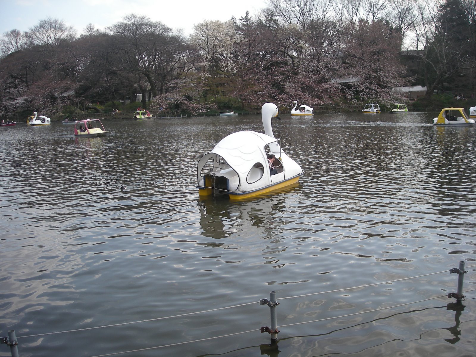 [DSCN3330.JPG]