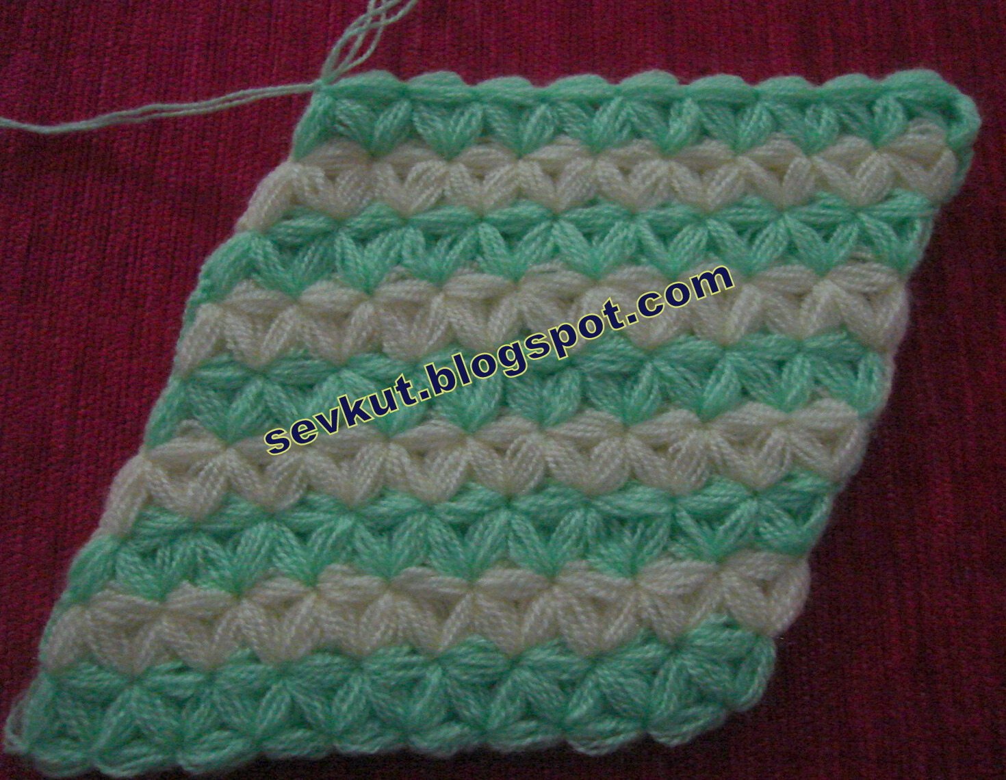 [sarı+lif.2-1+011.jpg]