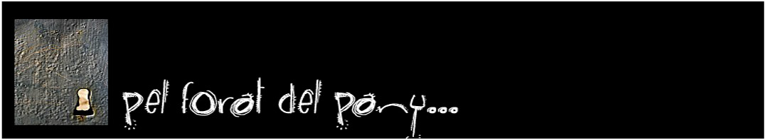 Pel forat del pany