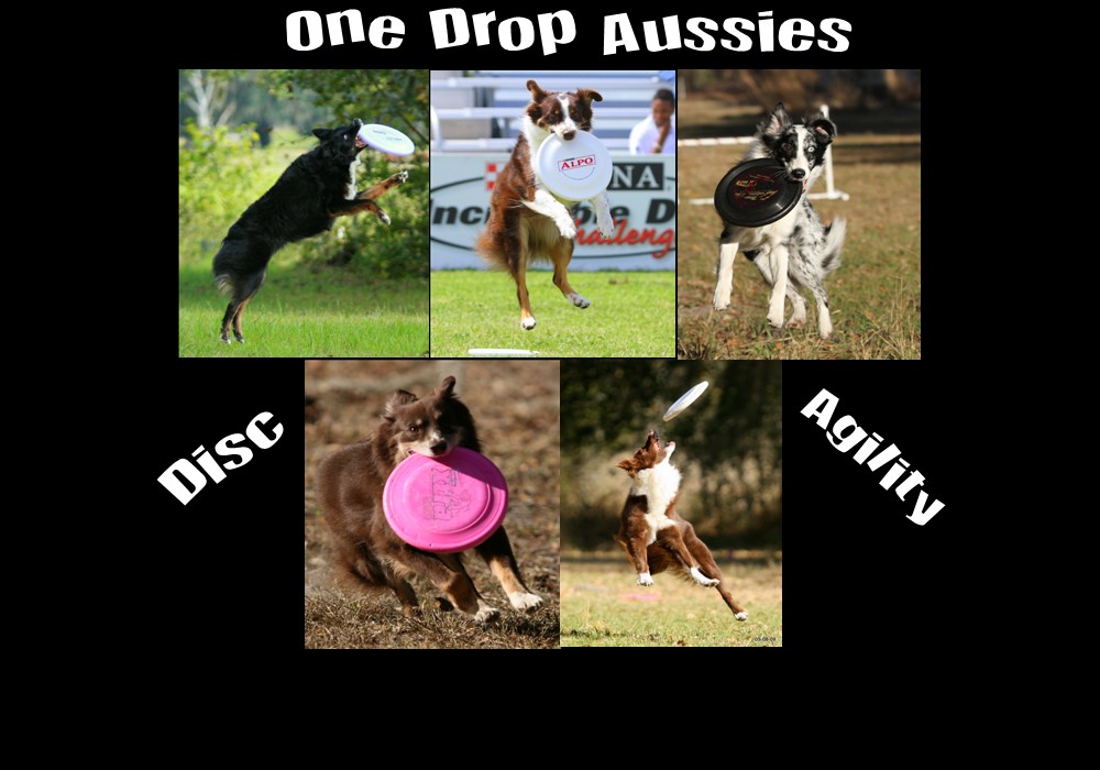 One Drop Aussies