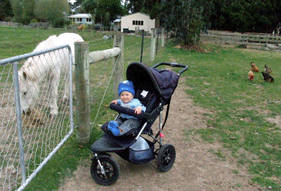 [pic_JackMontage6.gif]