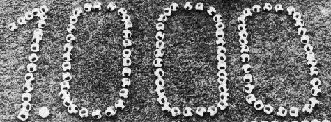[pele-1000.jpg]