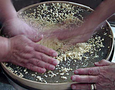 Froso and Kyria Fani Shaping Traxanas Froso and Kyria Fani Shaping Traxanas