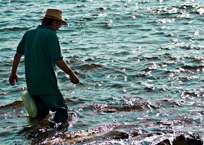 Gathering Limpets Gathering Limpets