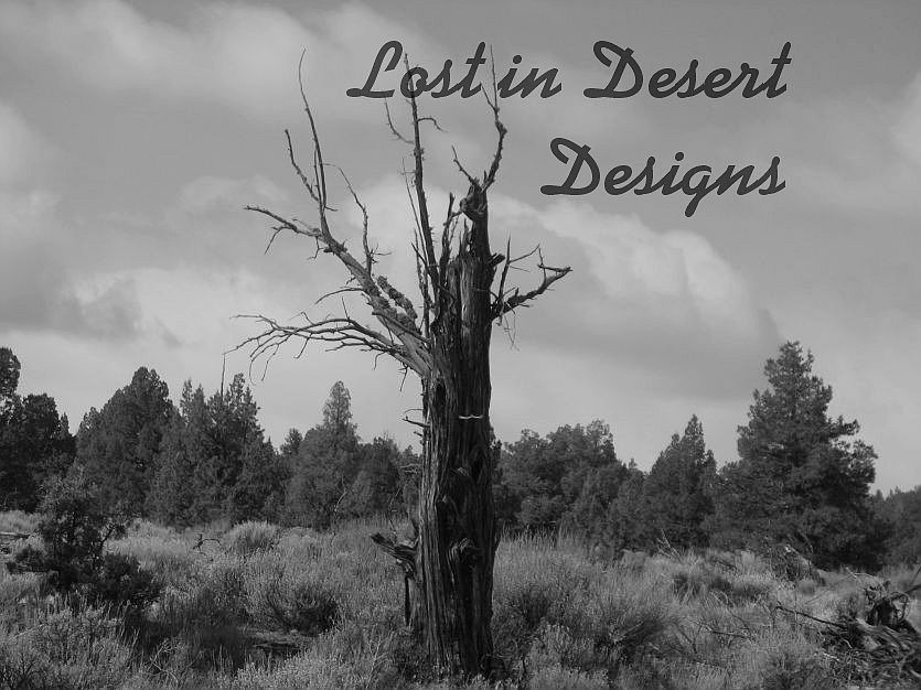 Lost in Desert Designs
