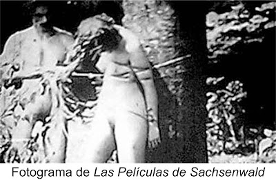 El cine porno nazi El cine porno nazi