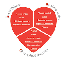 Maintain a healthy heart