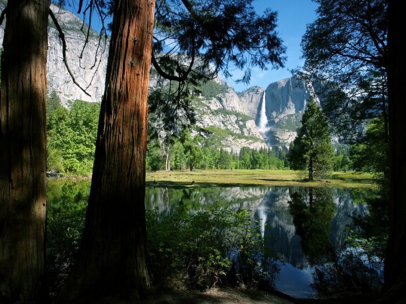 la fauna y la naturaleza, paisajes hermosos de la naturaleza. la fauna y la naturaleza,