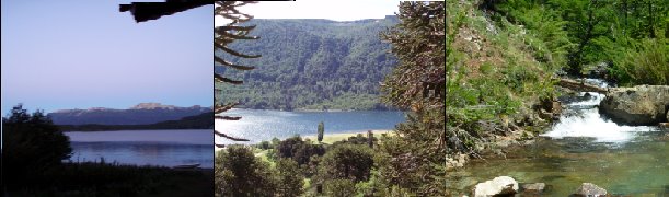 Turismo en el  Lago Ruka Choroy - Informes