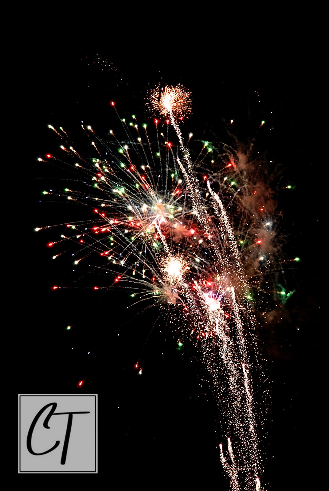[DSC_9611editCT.jpg]