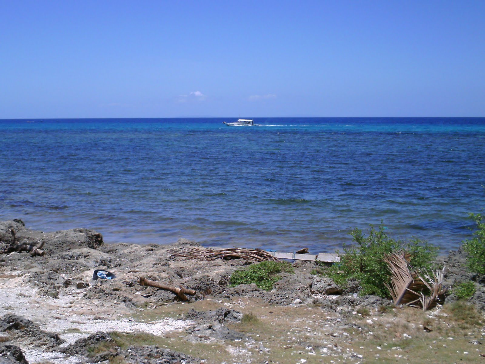 Real Estate Olango Island