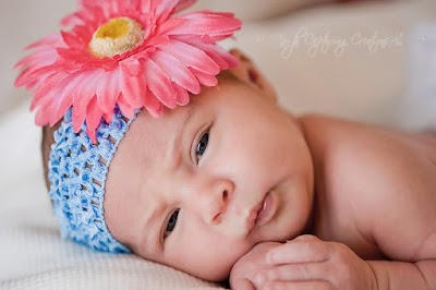 cute newborn baby girl cute newborn baby girl