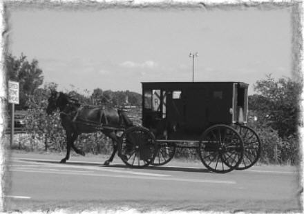 ~ Amish & Antiquing Weekend ~
