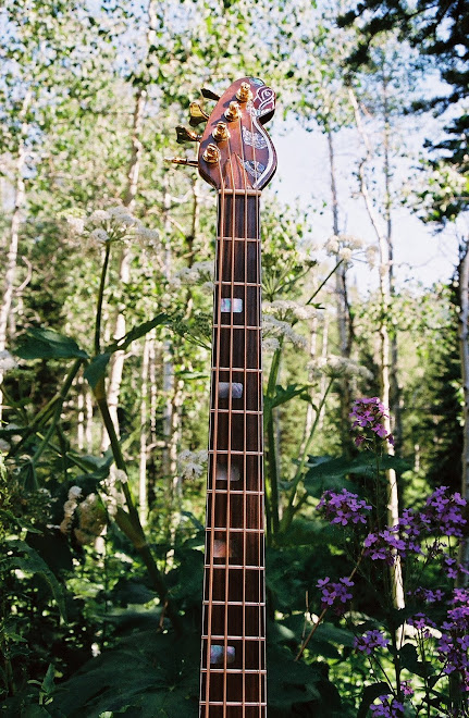 bass neck- mother of pearl, silver, and abolone rose inlay