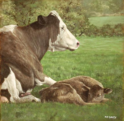 cow_and_calf_in_field