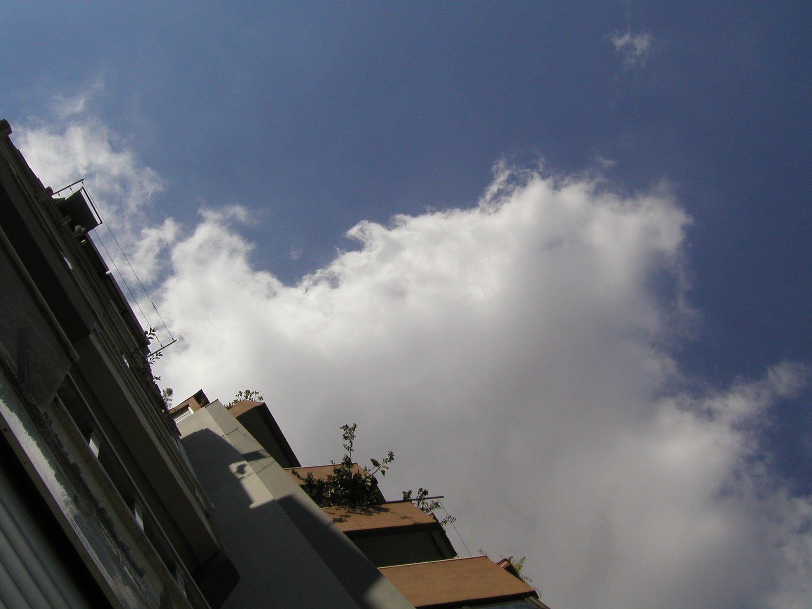 [P8260120.JPG]