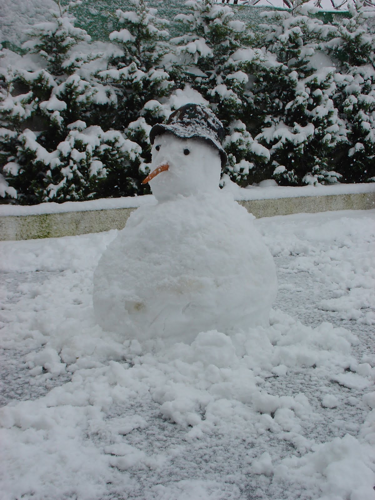 [DSC01844.JPG]