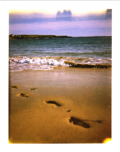 [POLA_3785_11858310261_l.jpg]