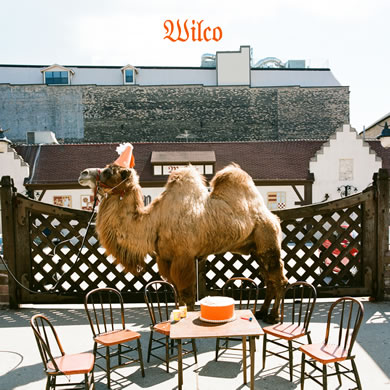 [wilco_album_390.jpg]