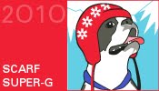 [ScarfSuper-G.jpg]