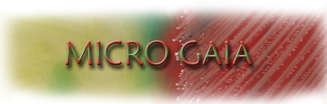 Micro Gaia