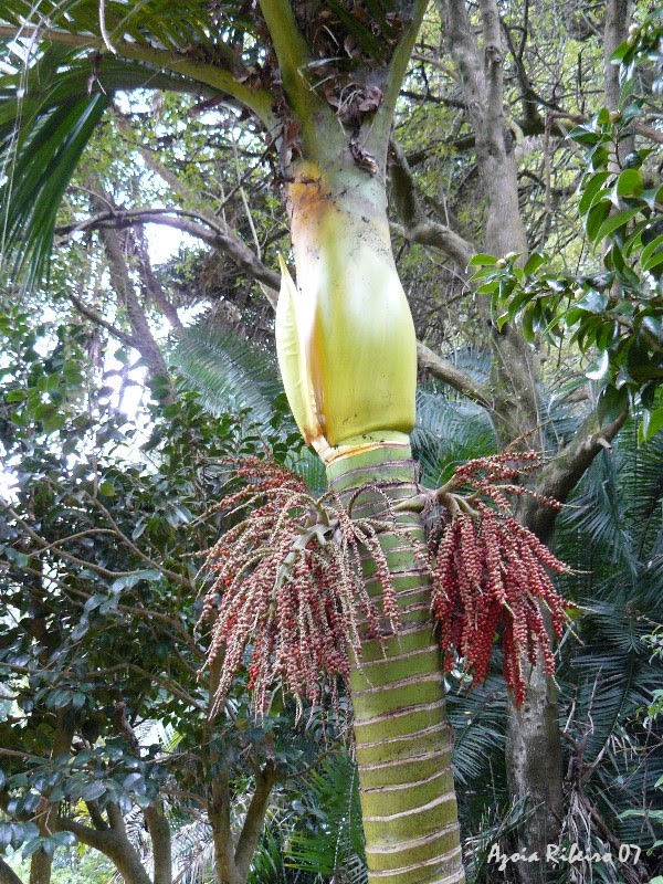 [P1020621.JPG]
