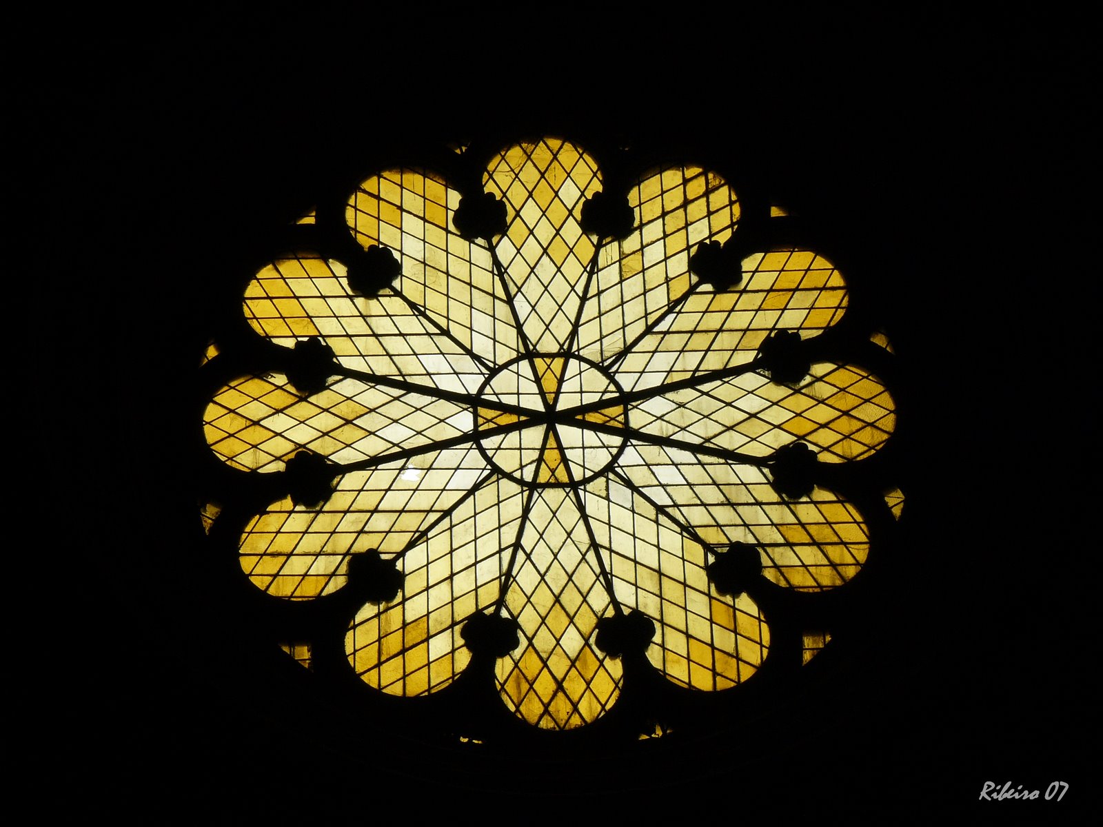 [P1000139a.JPG]