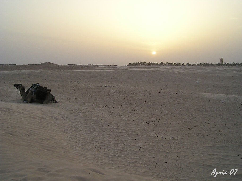 [P1010599.JPG]