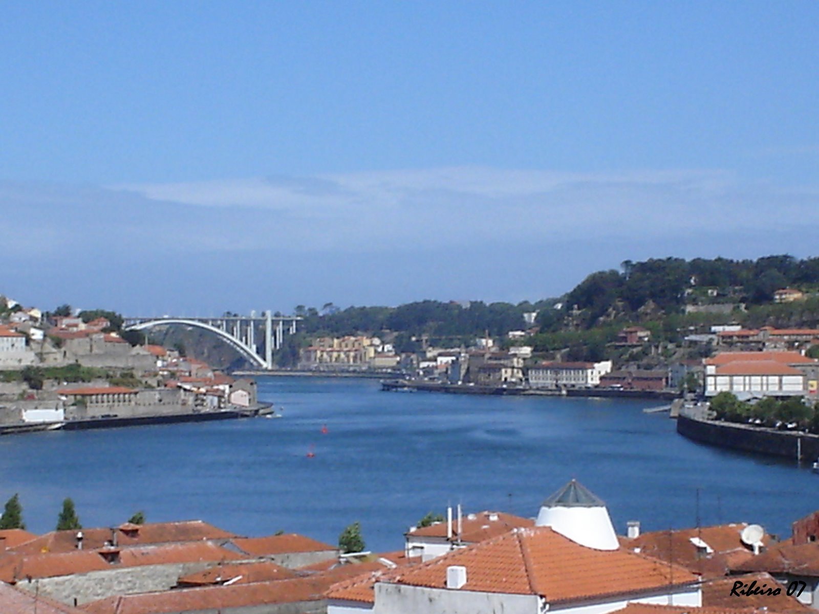 [DSC01079.JPG]
