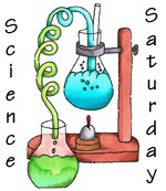 [Science+Saturday+150x173.jpg]