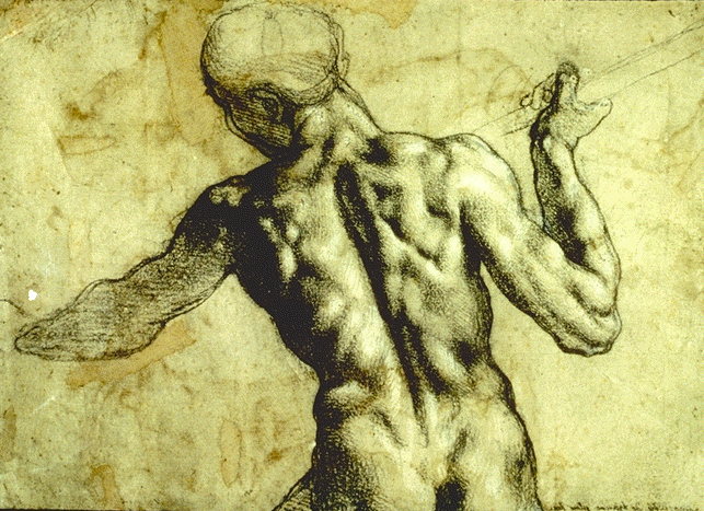 [zmichelangelo.gif]