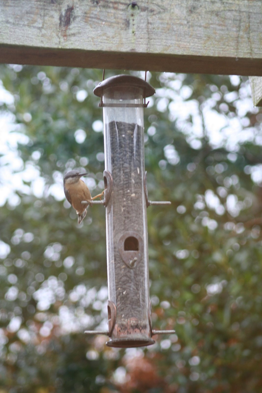 [20071124_999_16.JPG]