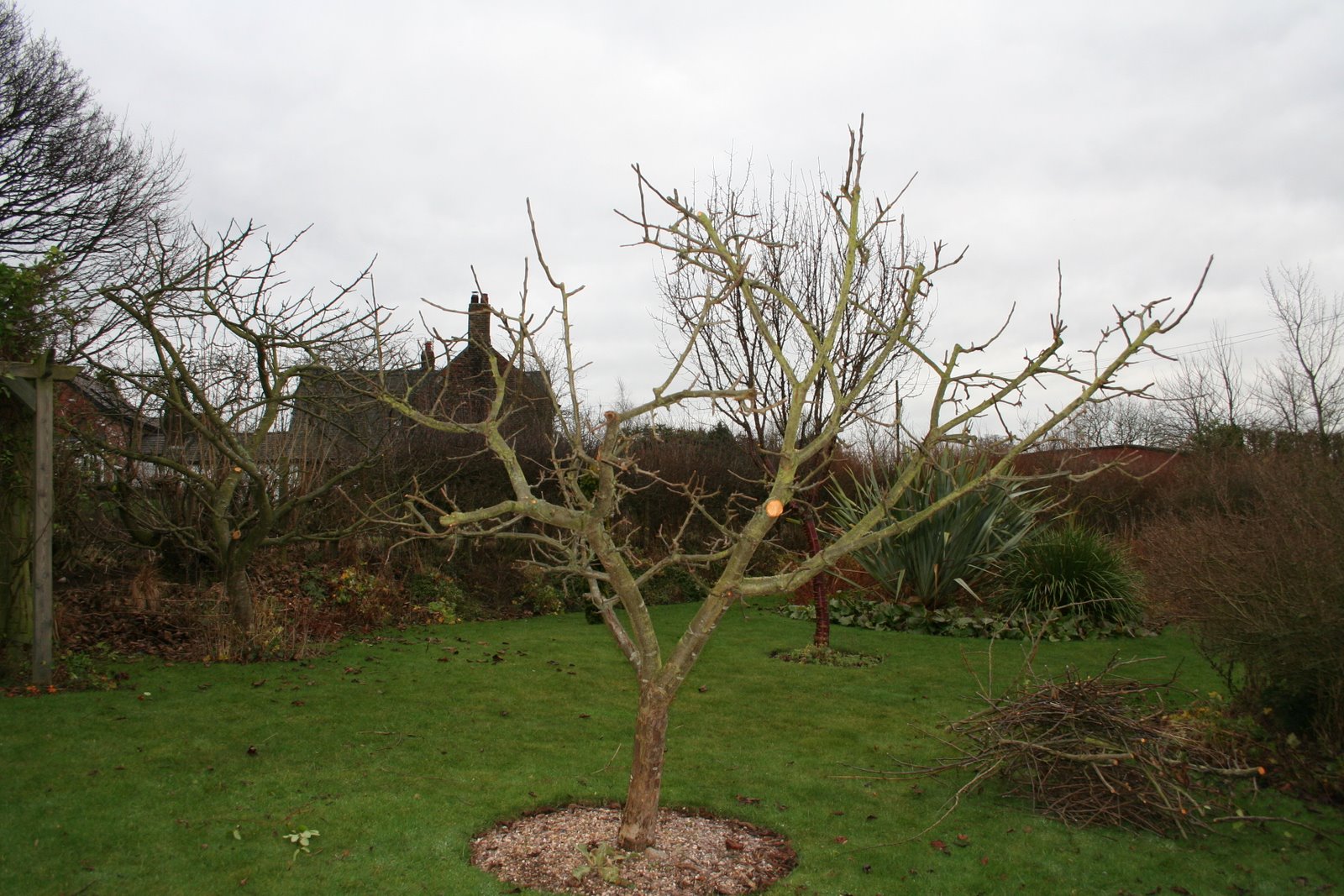 [20071231_999_21.JPG]