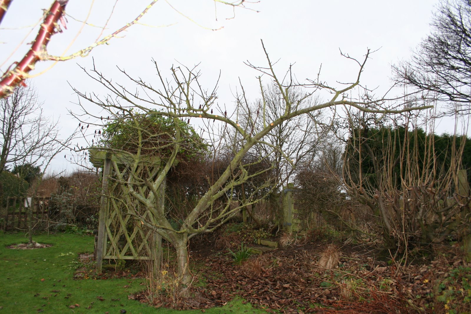 [20071231_999_24.JPG]