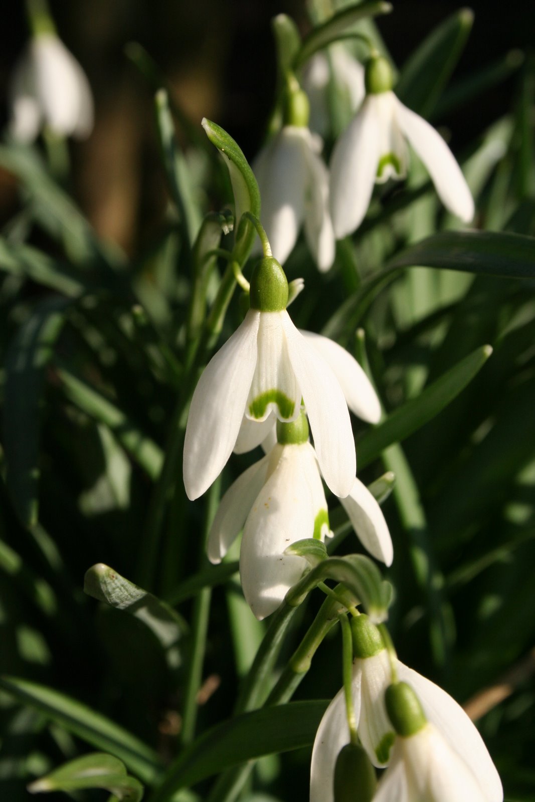 [20080210_999_9.JPG]