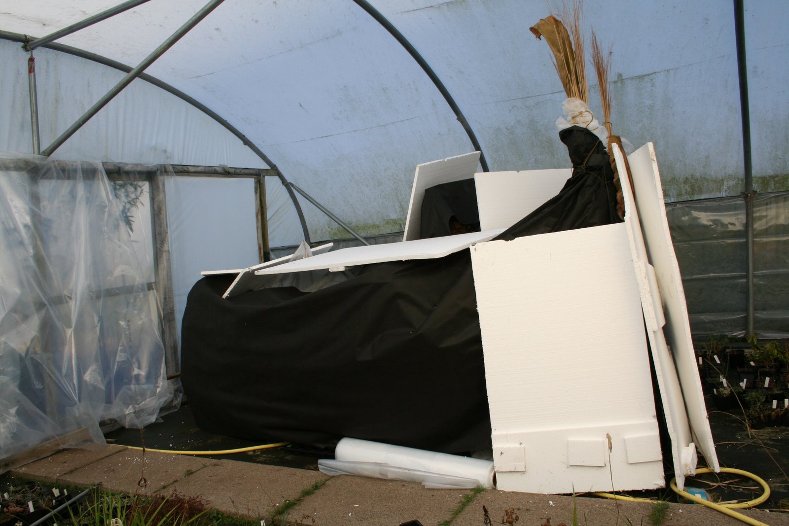 [20080218_999_21.JPG]