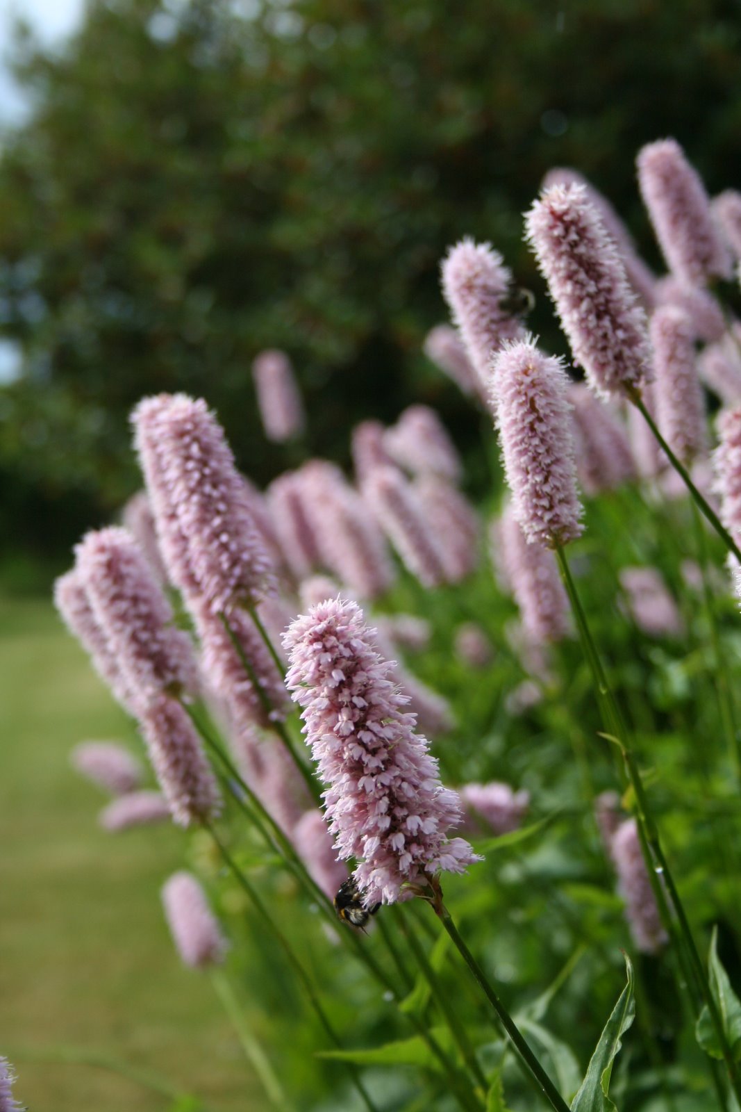 [20070531_999_13.JPG]