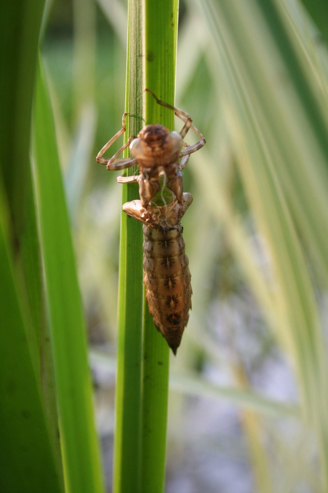 [20070609_999_36.JPG]