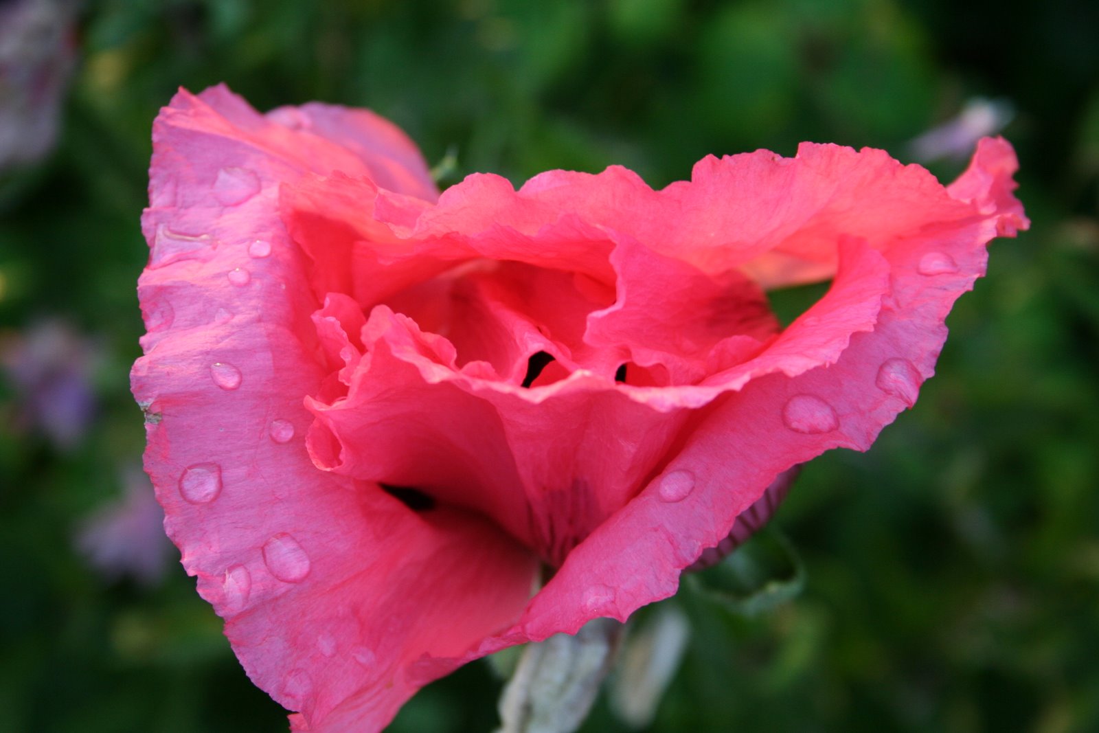 [20070601_999_33.JPG]