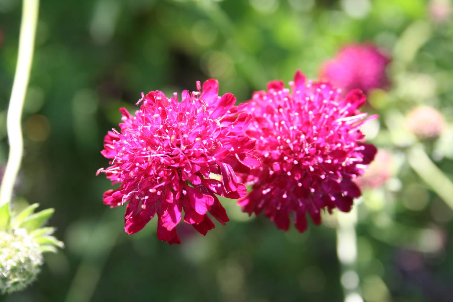 [20070707_999_9s.jpg]