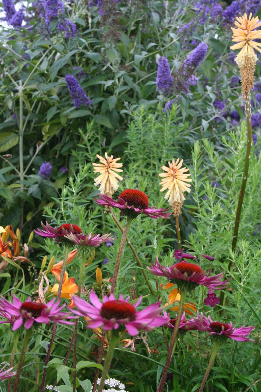 [20070805_999_41.JPG]