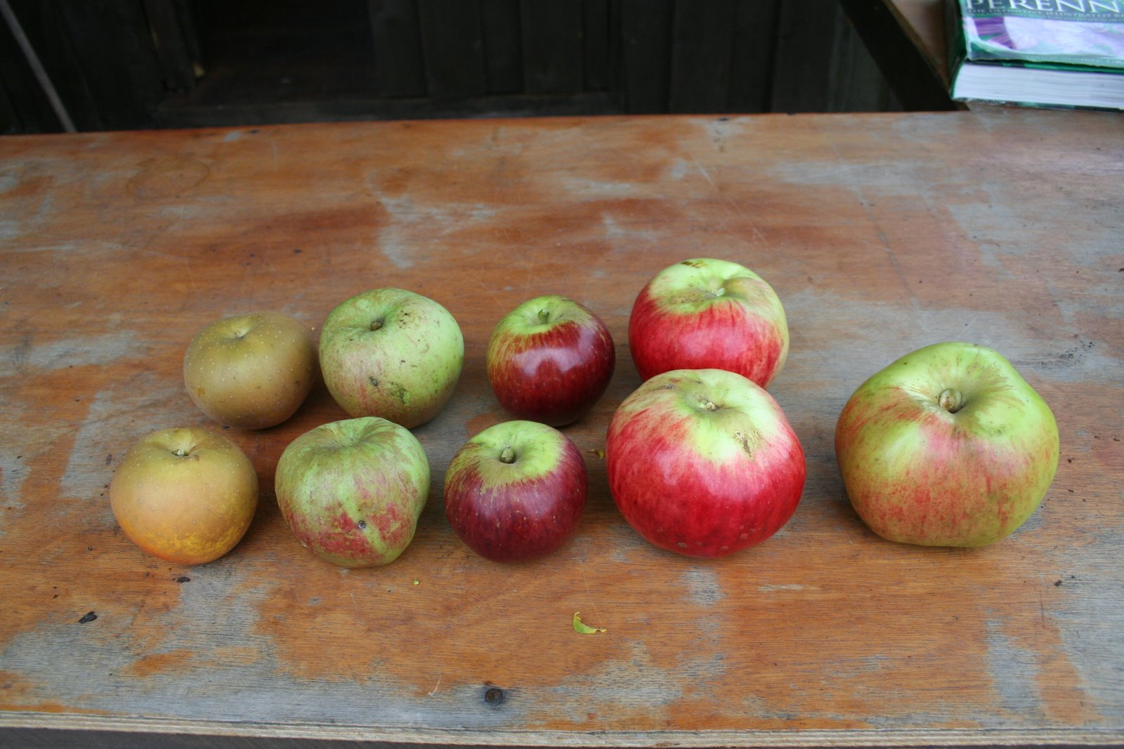 [20070923_999_3.JPG]