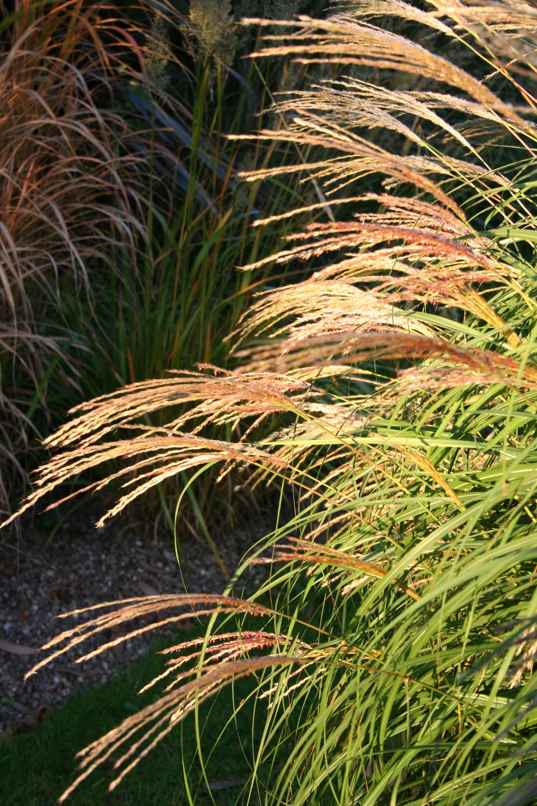 [20071005_999_6.JPG]