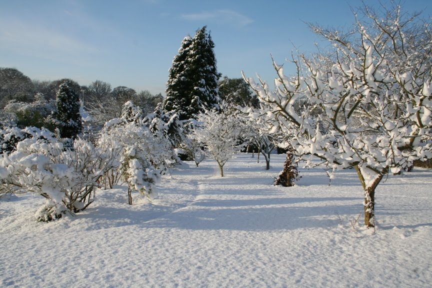 [garden_snow1s.jpg]