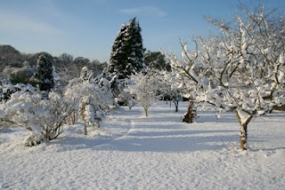 Snow-bound, but not stir-crazy yet…