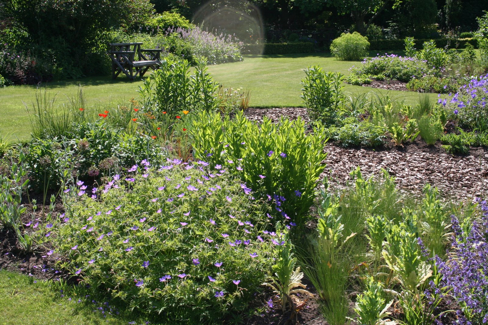 [20080609_999_8.JPG]