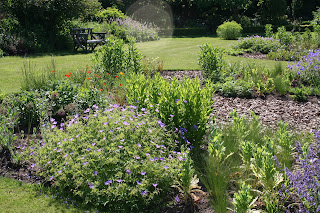 Sunshine, scent and first seeds