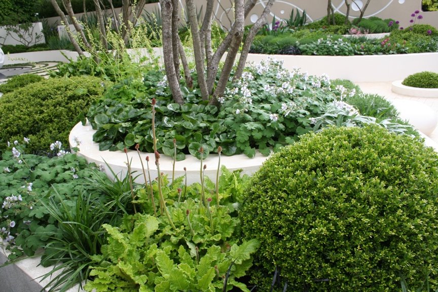 [cancerresearch2.jpg]