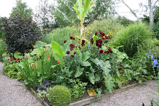 Hot and steamy exotica