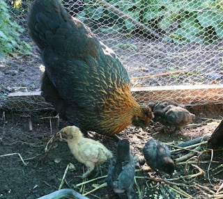 Sorry for the break…